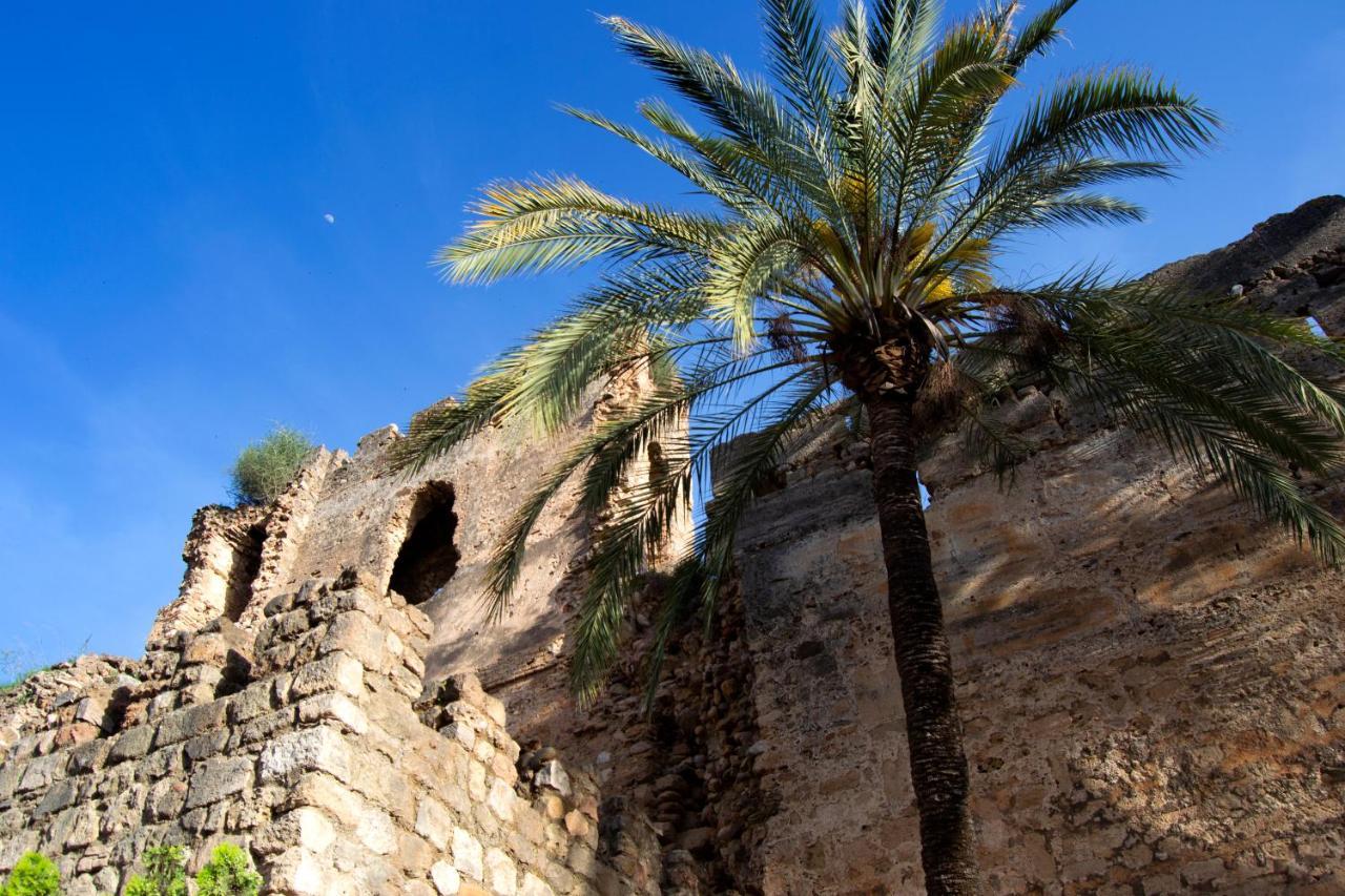 Edificio Ramiro Daire Marbella Dış mekan fotoğraf